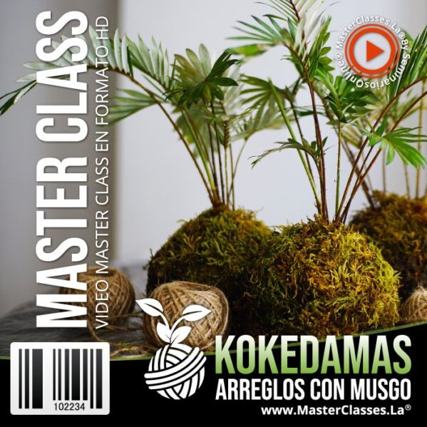 kokedamas arreglos con musgo